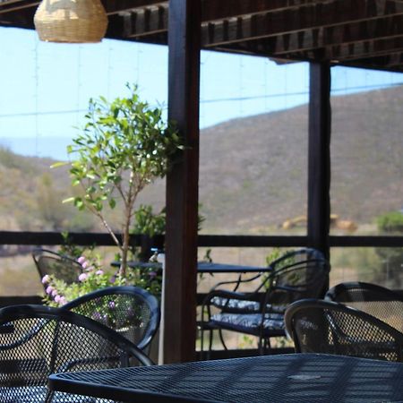 Vinas Del Castillo Ensenada Dış mekan fotoğraf