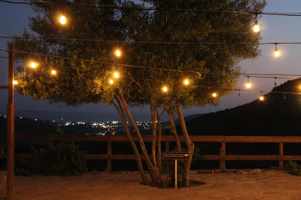 Vinas Del Castillo Ensenada Dış mekan fotoğraf